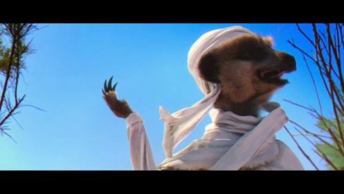 Compare The Market - The Journey of Courageousness