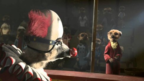 Compare The Market - Circus